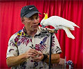 John Vincent's Top Hogs Show