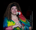 Ruby Macaw