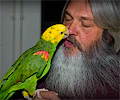 Yellow-headed Amazon Parrot