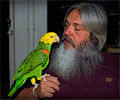 Yellow-headed Amazon Parrot