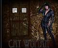 Catwoman (Batman) - Denver Comic Con 2015