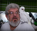 Bare-eyed Cockatoo