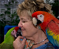 Camelot Macaw