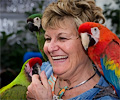 Camelot Macaw