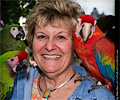 Camelot Macaw