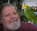 Yellow-headed Amazon Parrot