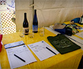 Poudre RiverFest