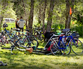 Poudre RiverFest