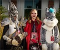 Fort Collins Comic Con 2016-08-27