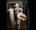 Fort Collins Comic Con 2016-08-28