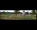 World Hoop Day