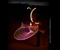 World Hoop Day