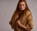 Briton (Sansa Stark)