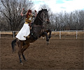Kryssi Jeaux Miller with Cherokee