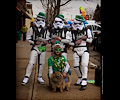 Storm Troopers