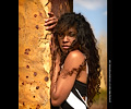 Trenice