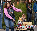 Tour de Corgi 2017