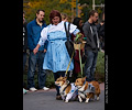 Tour de Corgi 2017