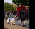 Tour de Corgi 2017