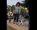 Tour de Corgi 2017