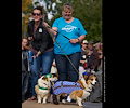 Tour de Corgi 2017