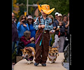 Tour de Corgi 2017