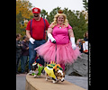 Tour de Corgi 2017