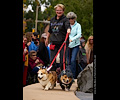 Tour de Corgi 2017