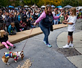 Tour de Corgi 2017