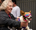 Tour de Corgi 2017