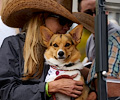 Tour de Corgi 2017