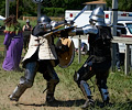 Medieval Festival Fighters