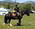 Medieval Festival Order of Epona