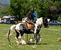 Medieval Festival Order of Epona