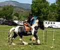 Medieval Festival Order of Epona