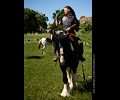 Medieval Festival Order of Epona
