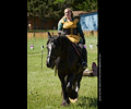 Medieval Festival Order of Epona