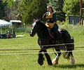Medieval Festival Order of Epona