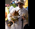Tour de Corgi