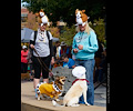 Tour de Corgi