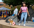 Tour de Corgi