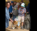 Tour de Corgi