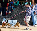 Tour de Corgi