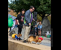 Tour de Corgi