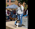 Tour de Corgi