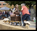 Tour de Corgi