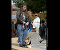 Tour de Corgi
