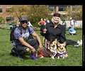 Tour de Corgi