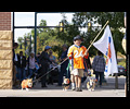 Tour de Corgi
