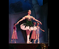 Nutcracker Ballet 2018